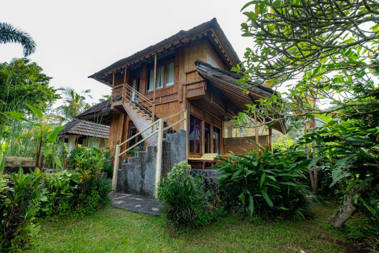 Villa Manuk Singaraja Esterno foto